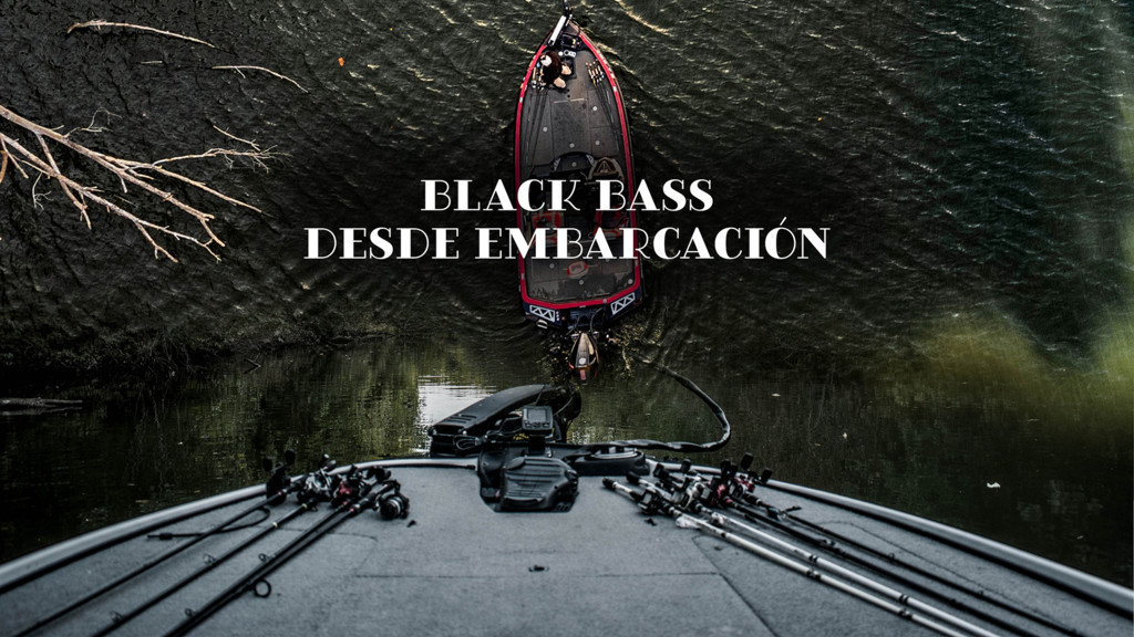 Bass Desde Embarcacion