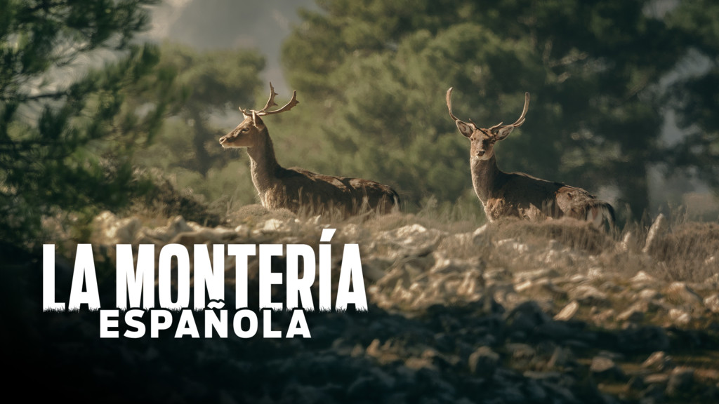 La montería española