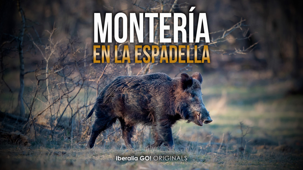 Monteria con solognac