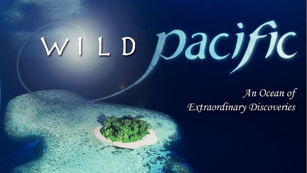 Pacífico Sur