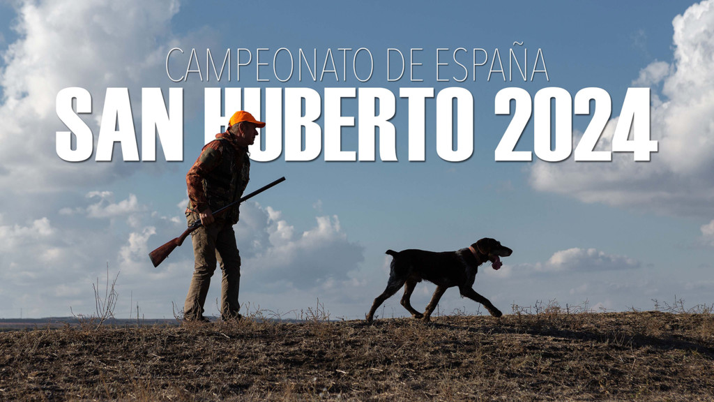 XlII Campeonato de España de San Huberto