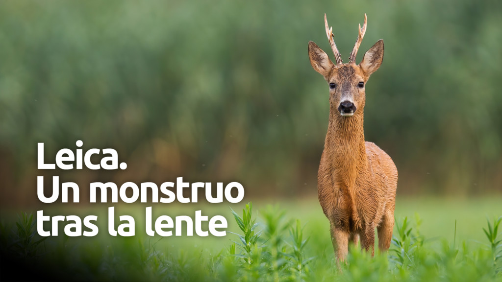 Leica. Un monstruo tras la lente