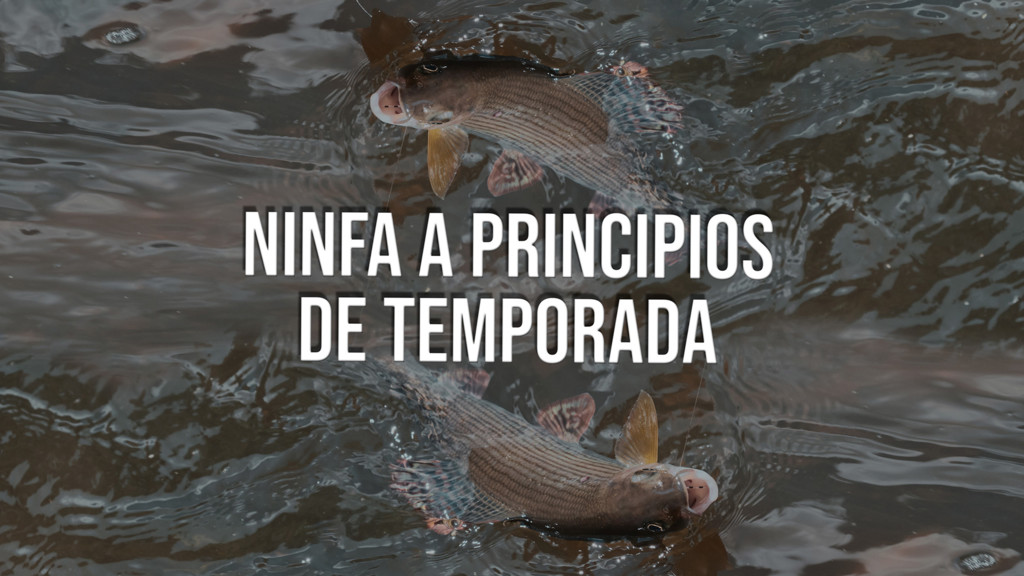 Ninfa A Principios De Temporada