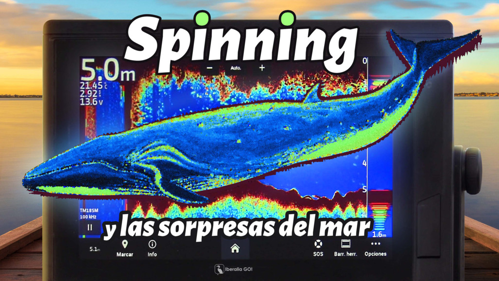 Spinning y las sorpresas del mar