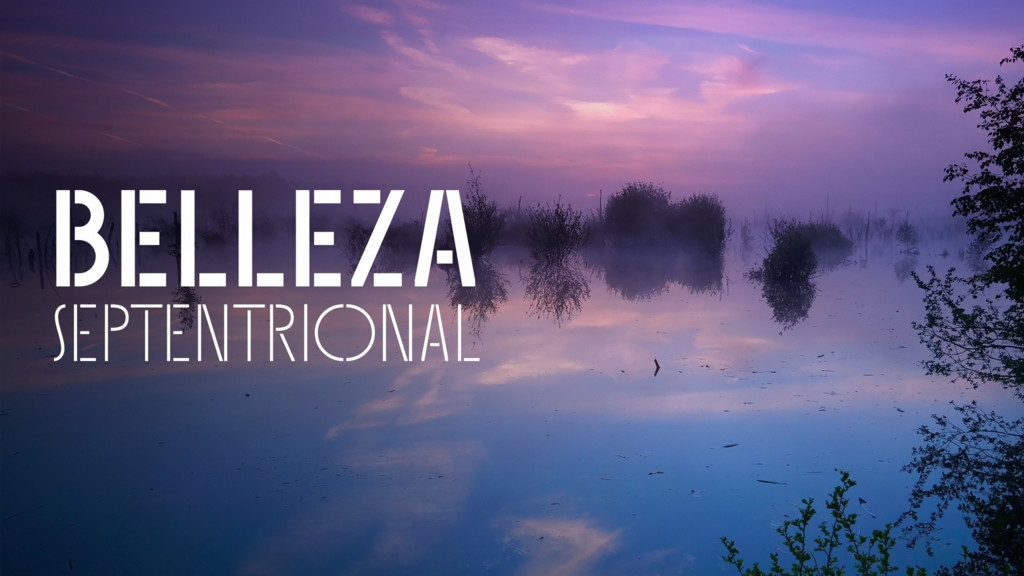 Belleza septentrional