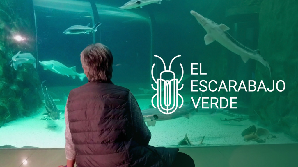 El escarabajo verde
