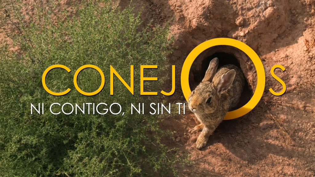 Conejos, ni contigo ni sin ti