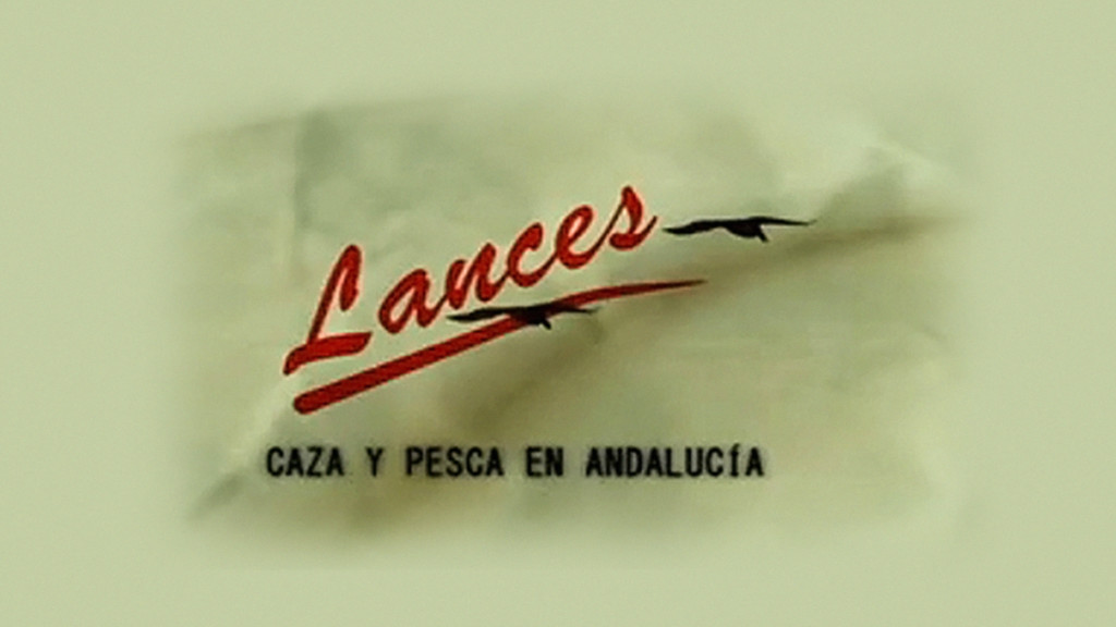 Lances
