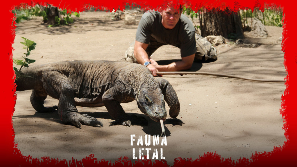 Fauna letal