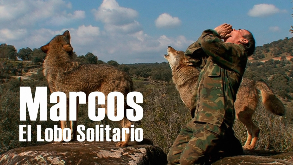 Marcos, el lobo solitario