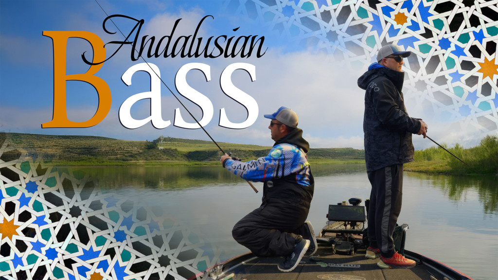 Andalusian bass