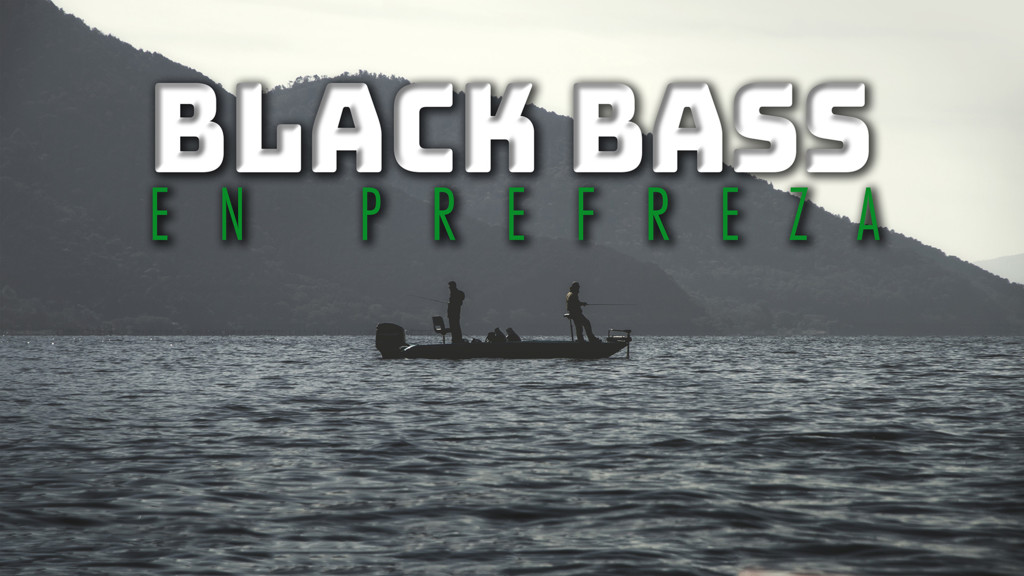Blackbass En Prefreza