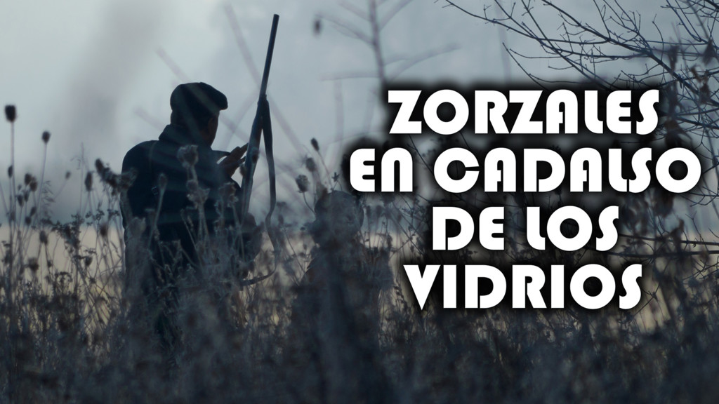 Zorzales En Cadalso De Los Vidrios