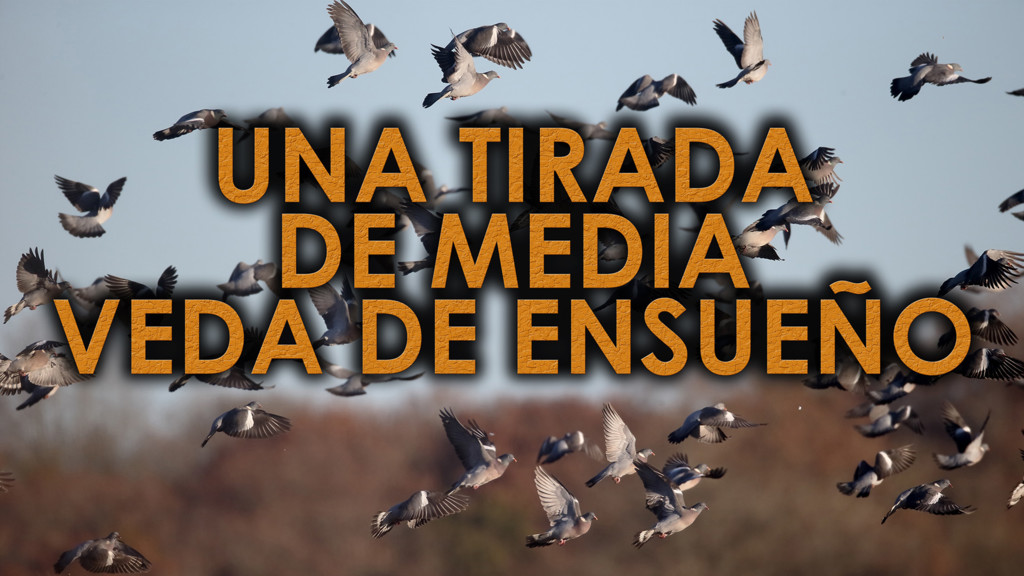 Una Tirada De Media Veda De Ensueño