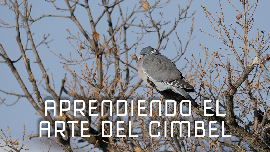 Aprendiendo el arte del cimbel