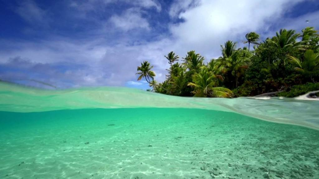 Levedad tropical