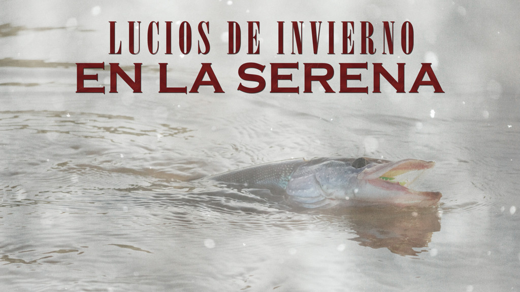 Lucios de invierno en La Serena