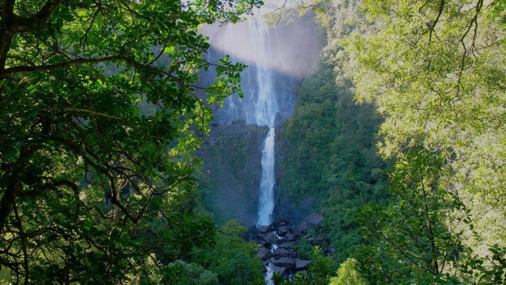 Wairere Falls: Nueva Zelanda
