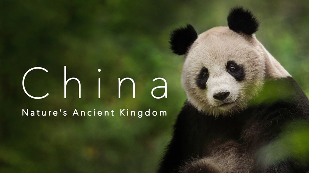 China: Antiguo reino animal