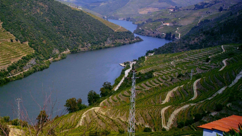 Viñedos Frondosos: Portugal