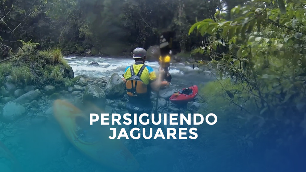 Persiguiendo Jaguares