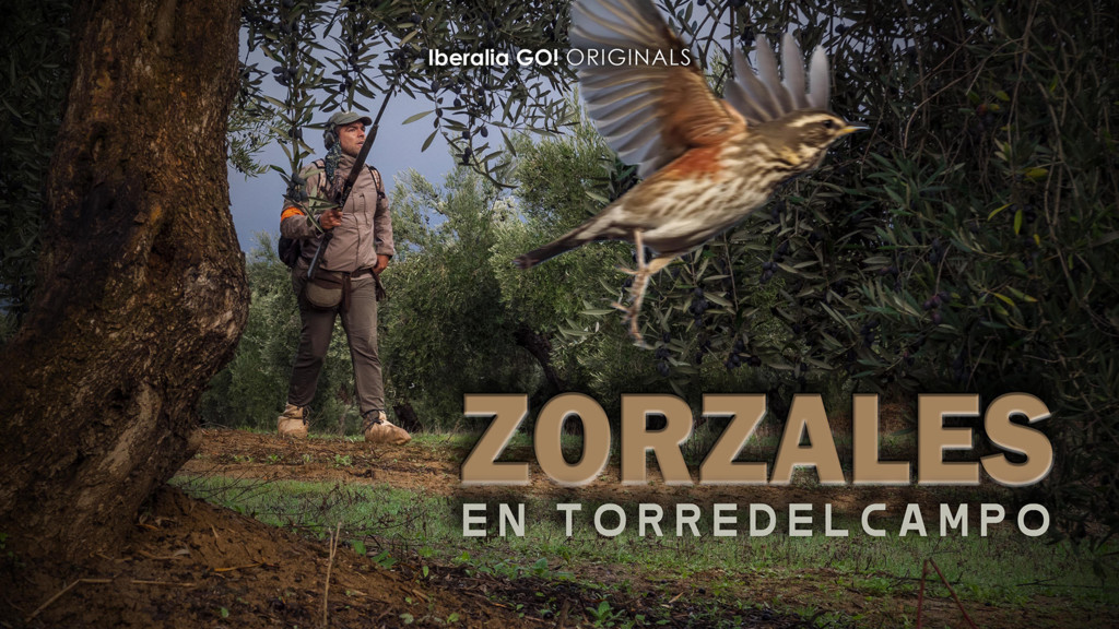 Zorzales en torredelcampo