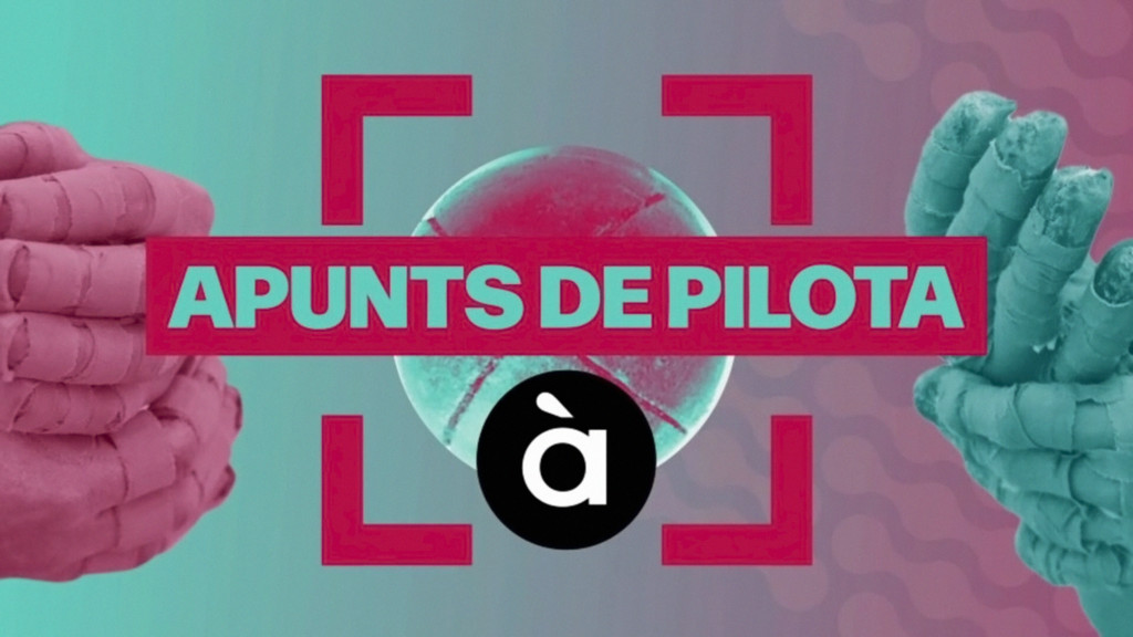 Apunts de Pilota