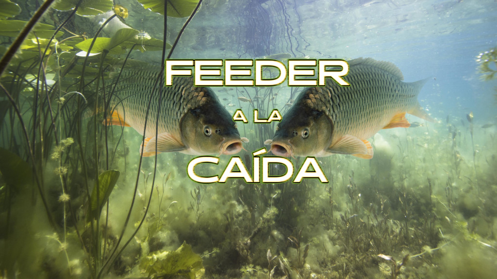 Feeder a la caída