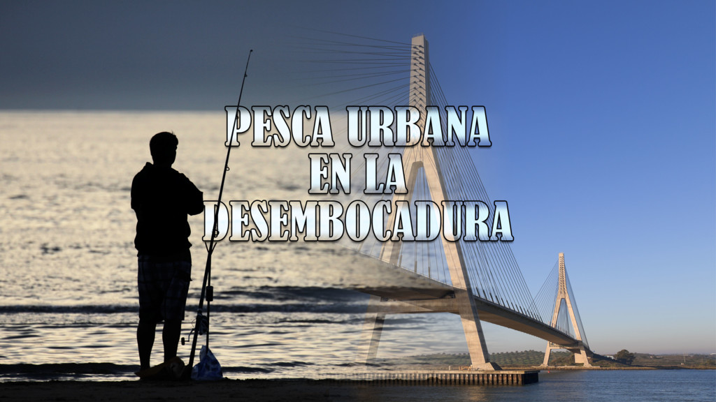 Surfcasting en la desembocadura