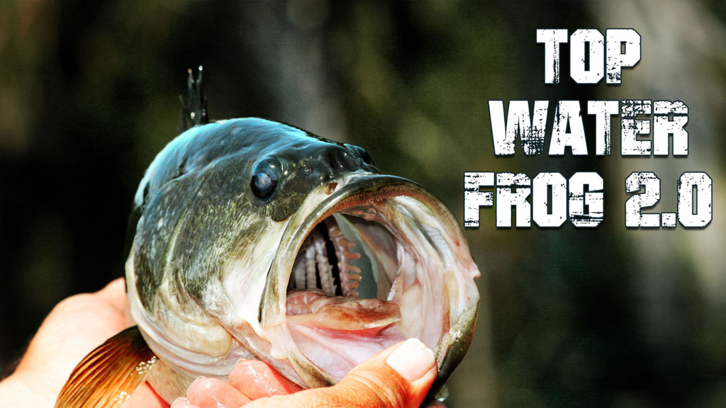 Top Water Frog 2.0