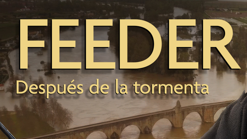 Feeder en Medellín y Santa Amalia