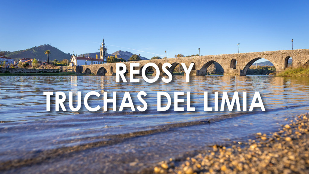 Reos y truchas del limia