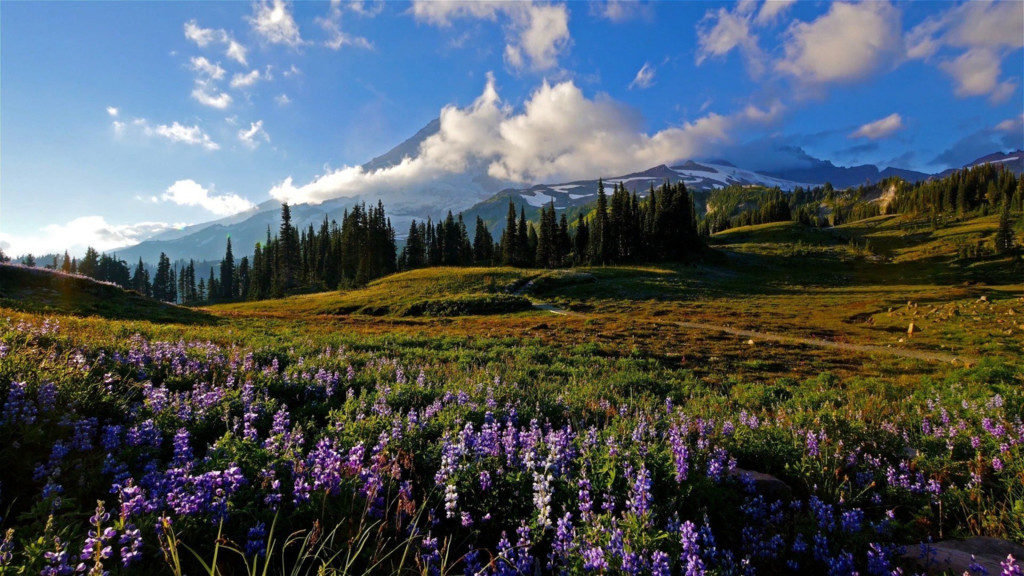 Un día en Monte Rainier 1