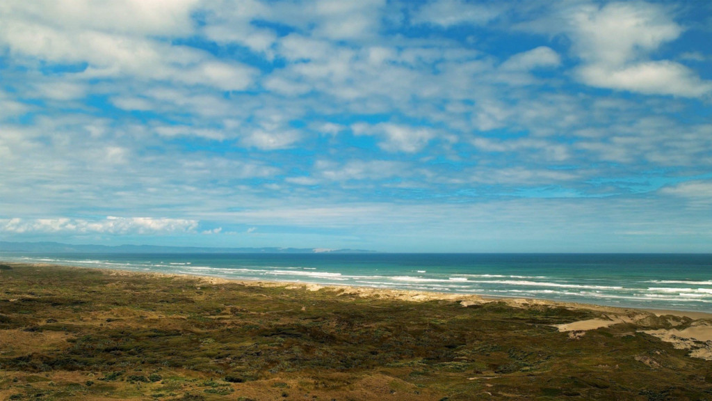 Playa de las Nueve Millas: Nueva Zelanda