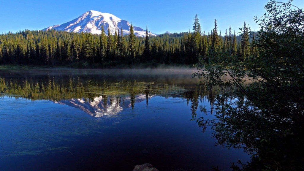 Un día en Monte Rainier 2