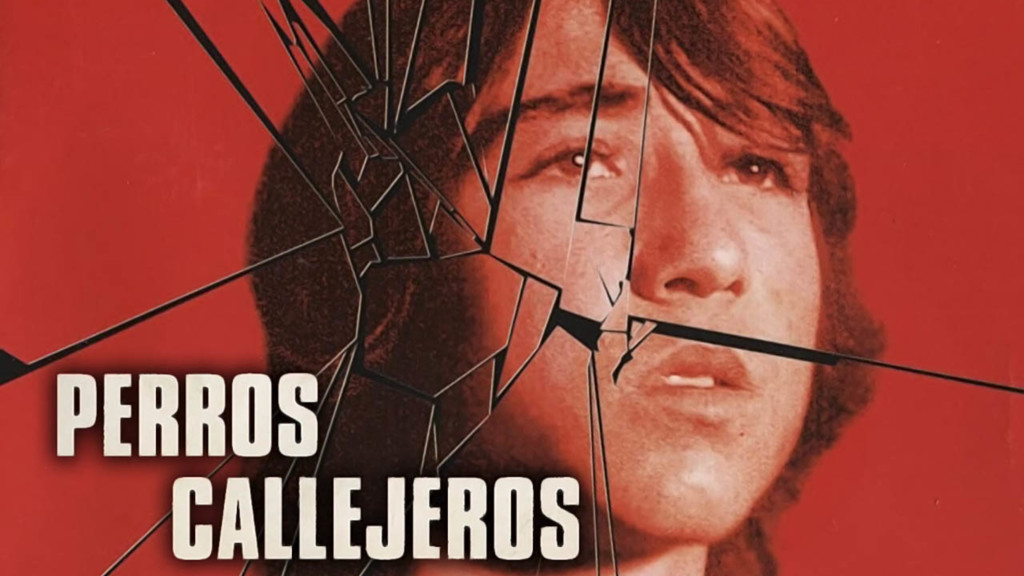 Perros callejeros