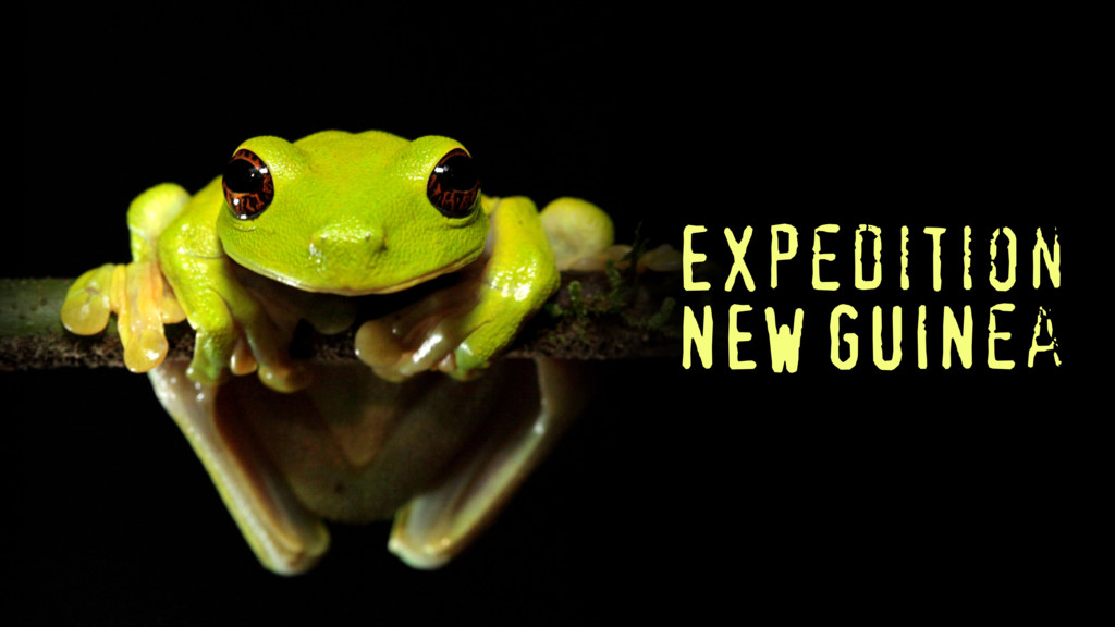 Expedición Nueva Guinea