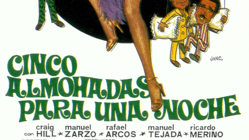 Cinco almohadas para una noche