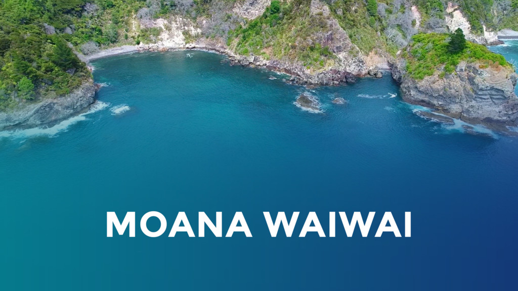 Moana Waiwai