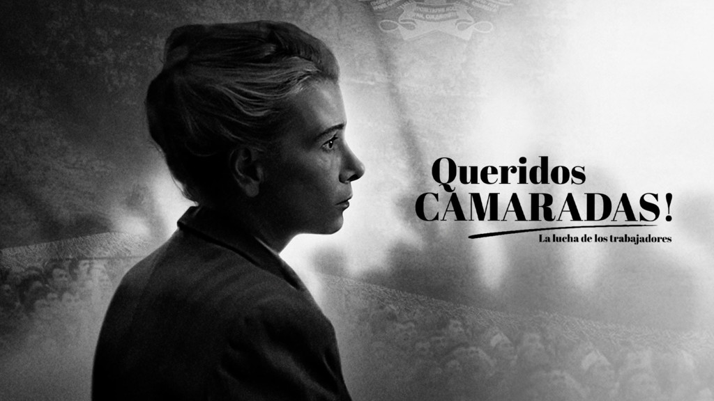 Queridos camaradas