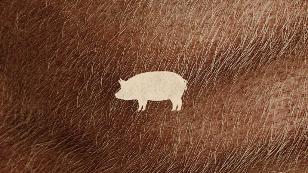 Pig