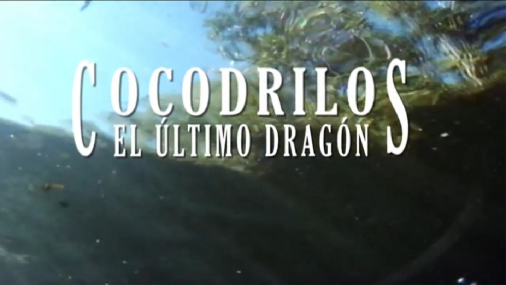 Cocodrilos, el último dragón