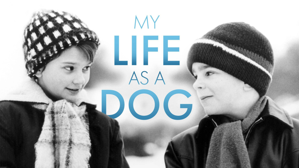 Mi vida como un perro