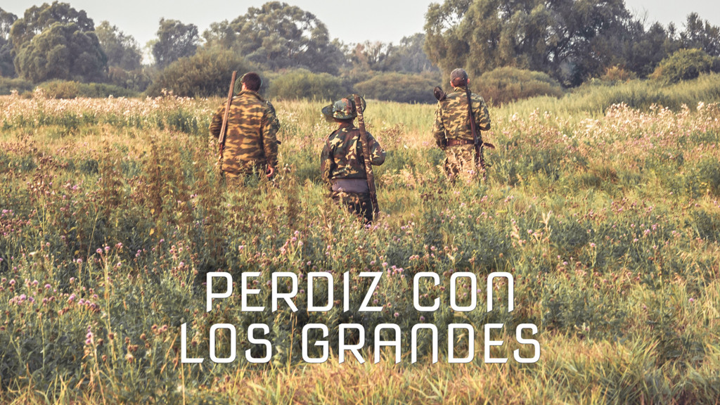 Perdiz con los grandes