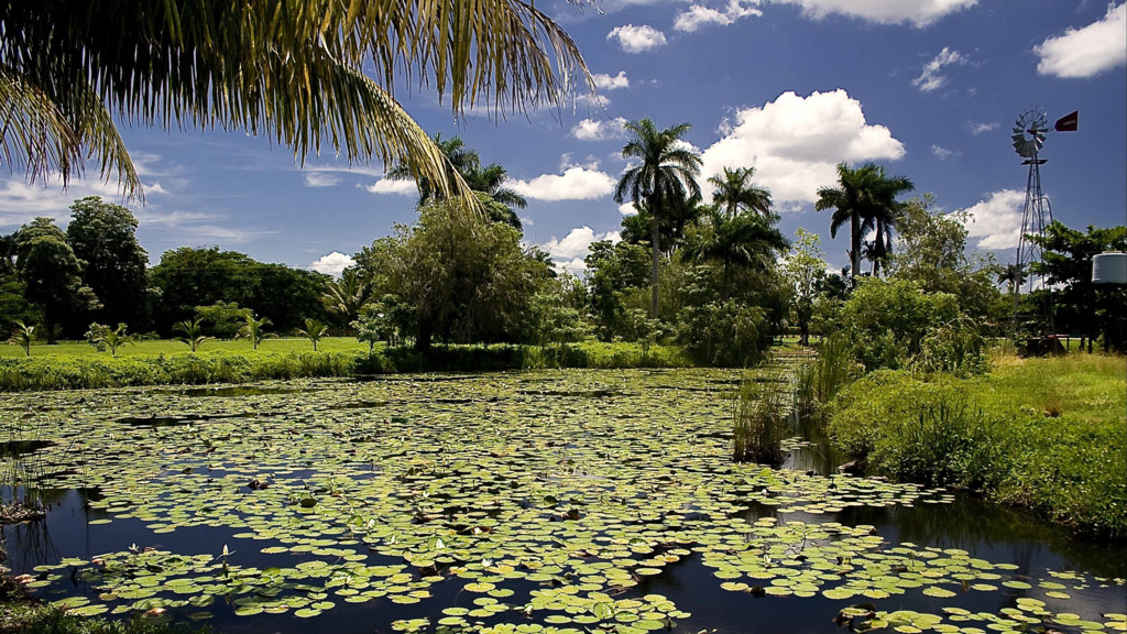 Cuba, refugio de vida