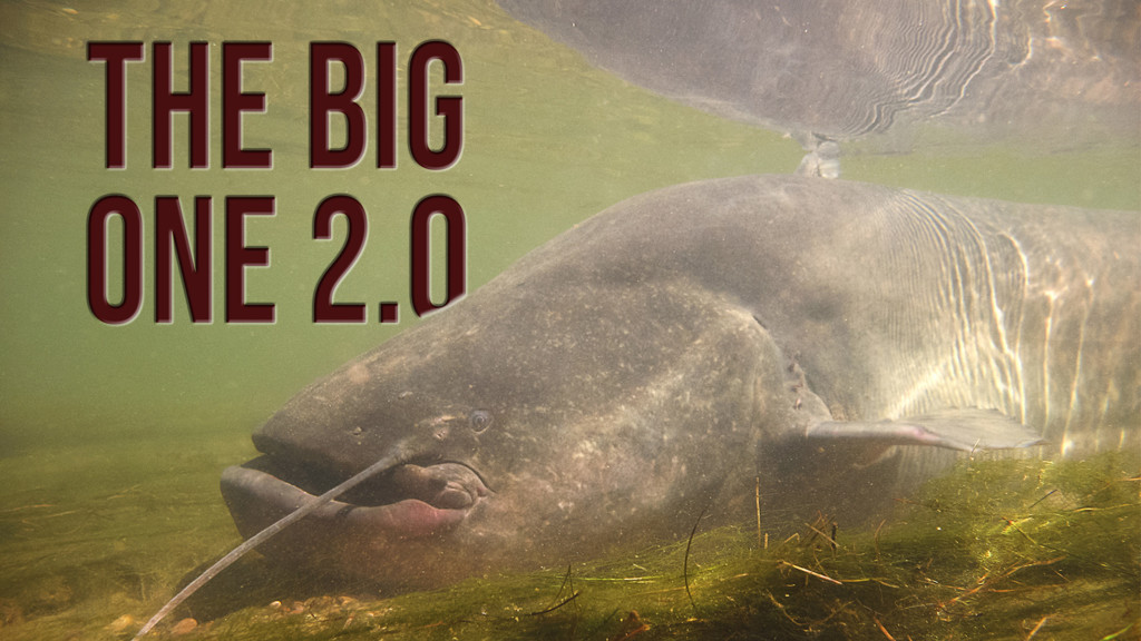 En busca del Big One 2.0