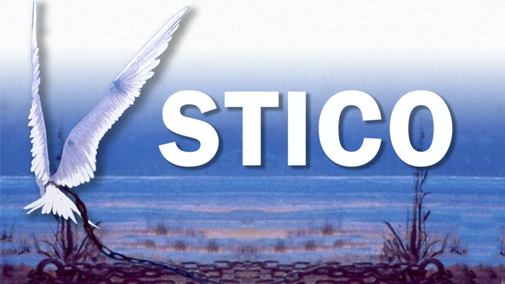Stico
