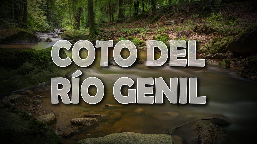 Coto Del Rio Genil