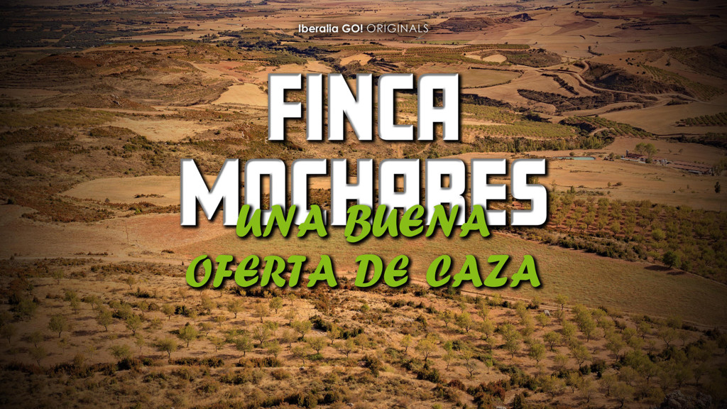 Finca Mochares. Una Buena Oferta De Caza