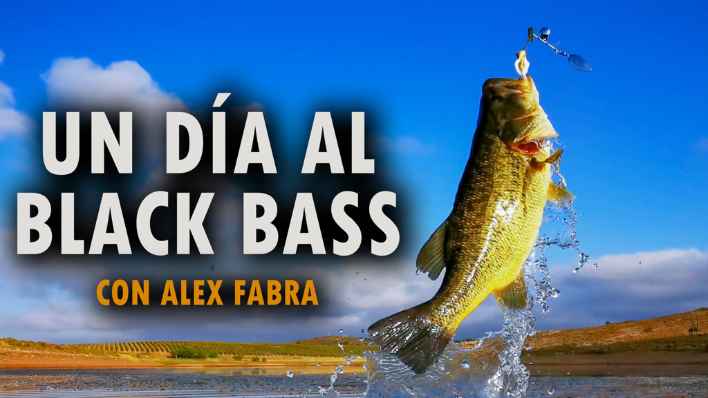 Un día a blackbass con Alex Fabra